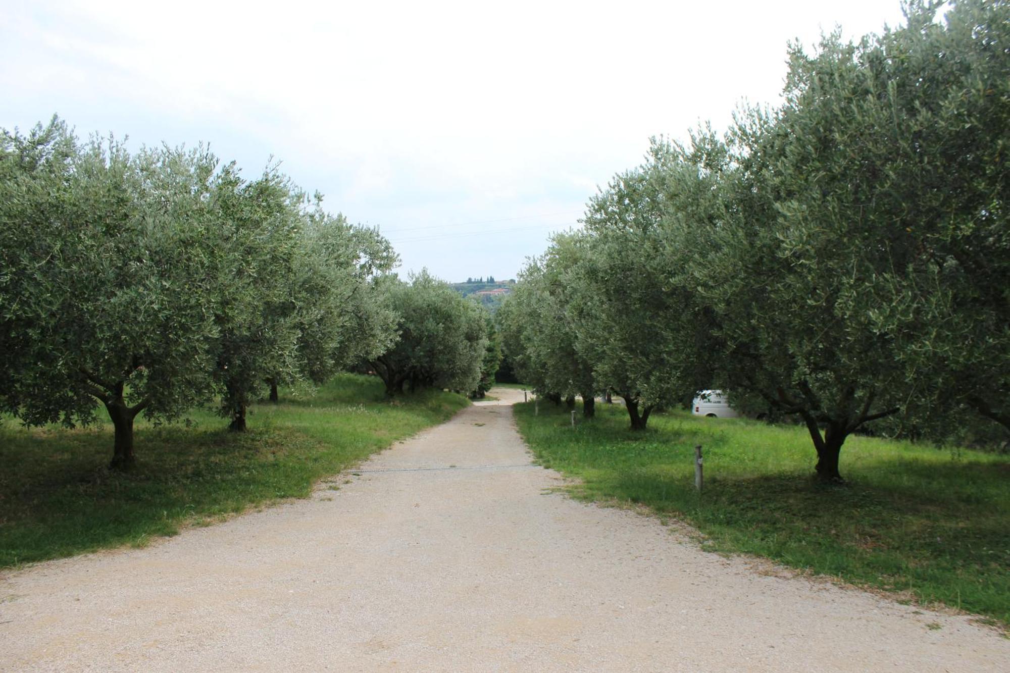 Agriturismo Spigolo Avesa Ngoại thất bức ảnh