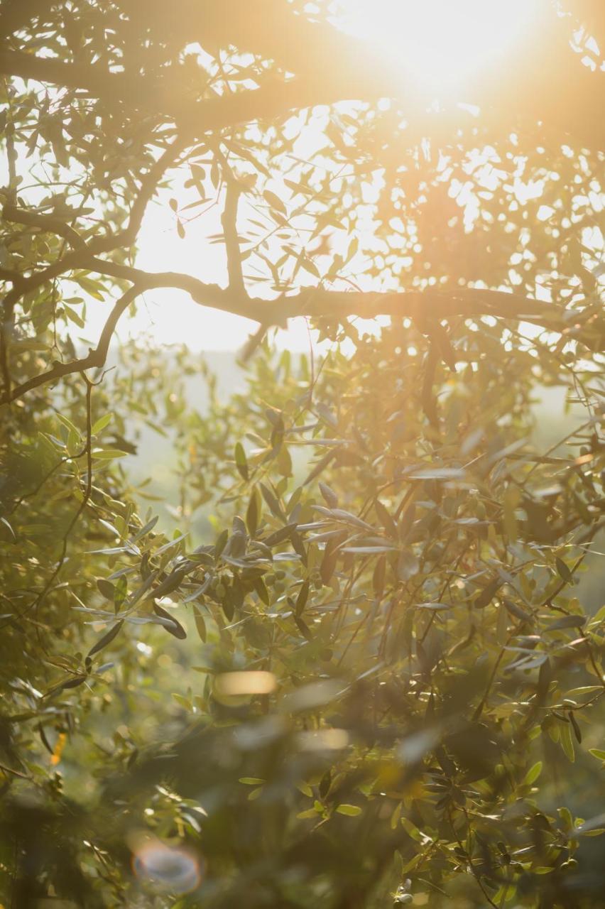 Agriturismo Spigolo Avesa Ngoại thất bức ảnh