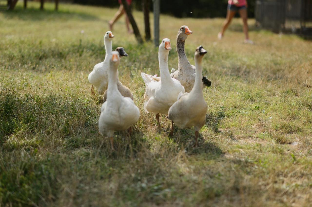 Agriturismo Spigolo Avesa Ngoại thất bức ảnh